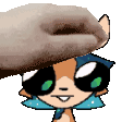 Other rat